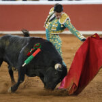 Un torero en plena faena con un toro en la plaza