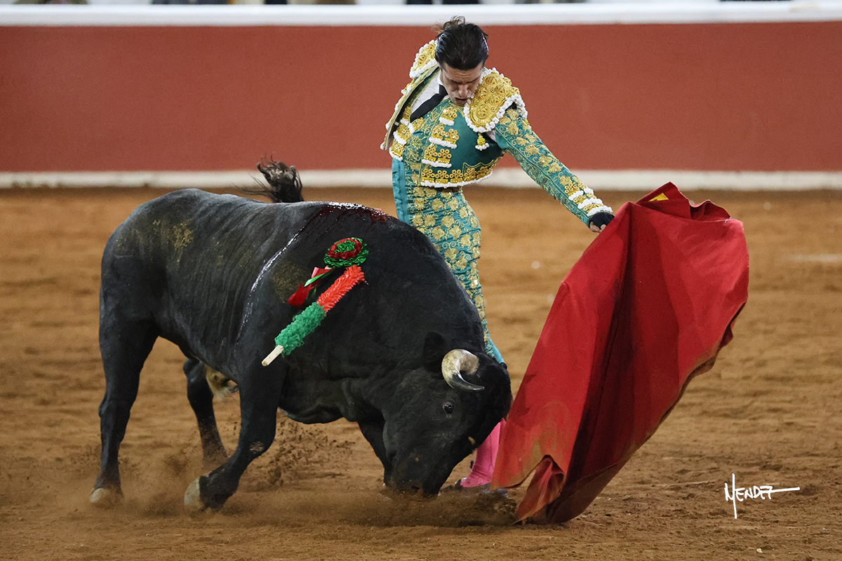 Un torero en plena faena con un toro en la plaza