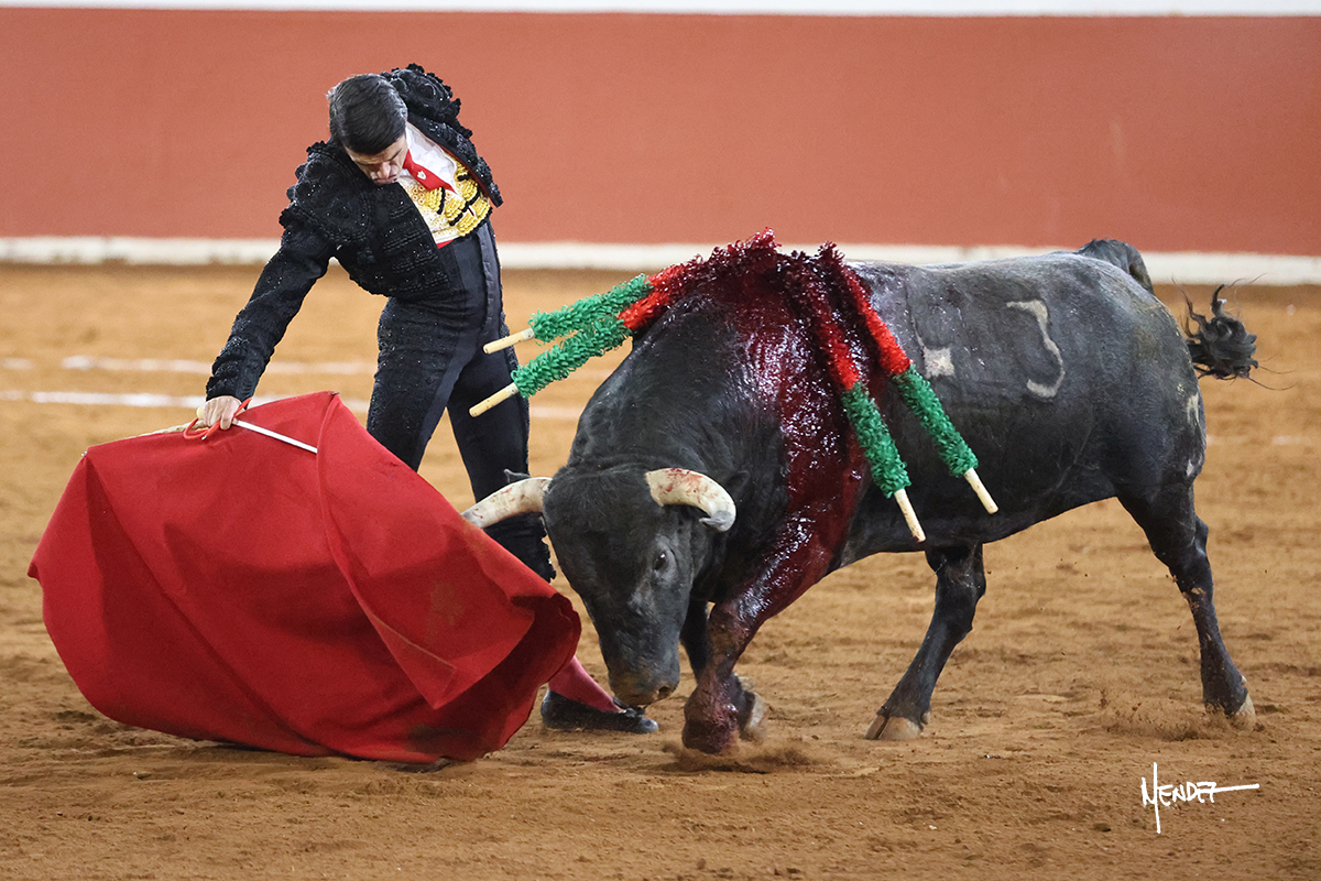 Un torero en acción con un toro durante una corrida