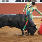 Un torero vestido de luces en una plaza de toros con un toro