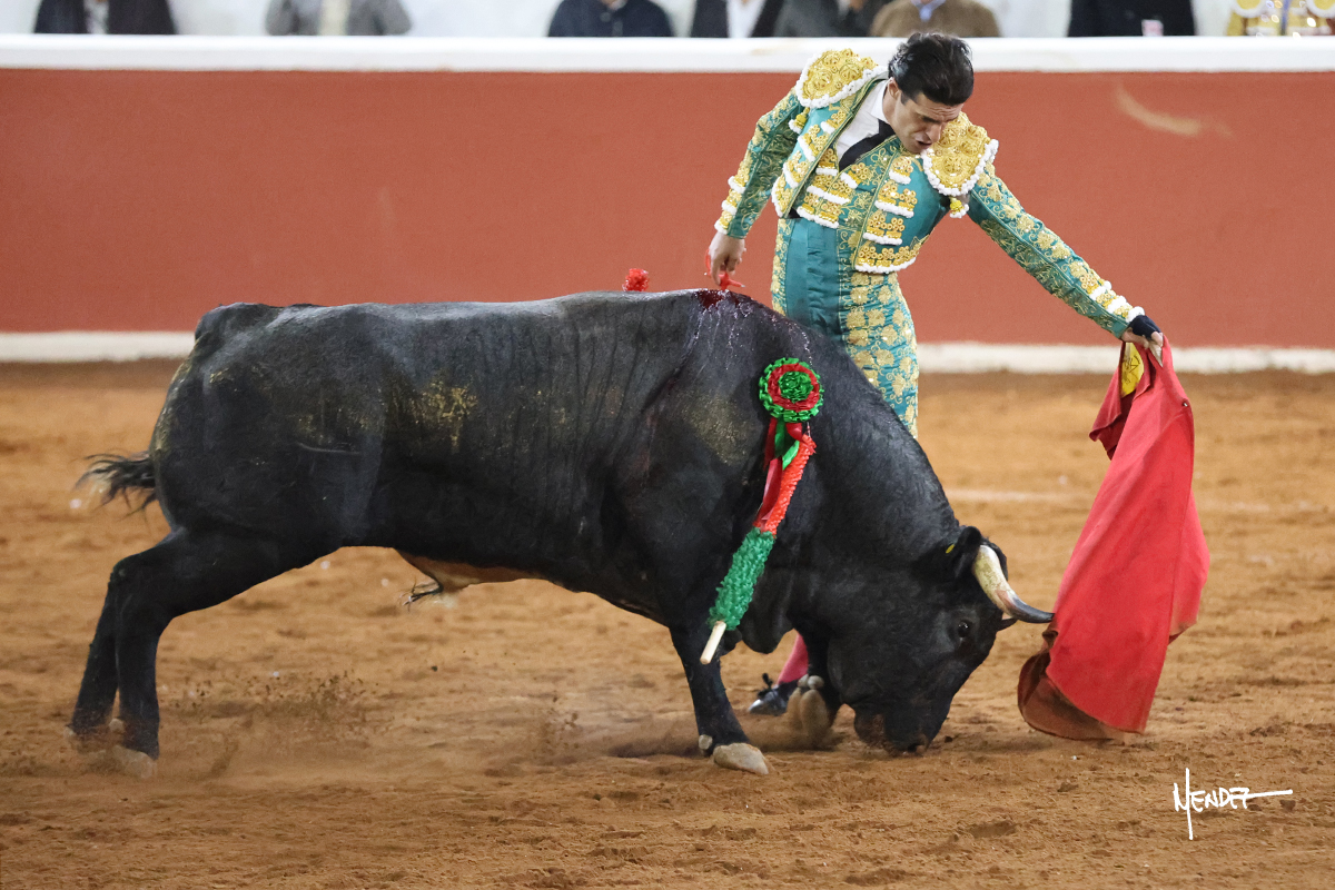 Un torero vestido de luces en una plaza de toros con un toro