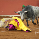 Un torero caído en la arena mientras un toro se acerca.