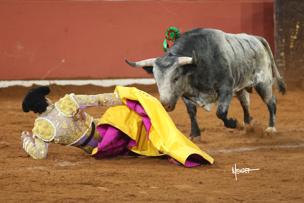 Un torero caído en la arena mientras un toro se acerca.