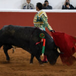 Torero con traje tradicional en la plaza de toros con un toro