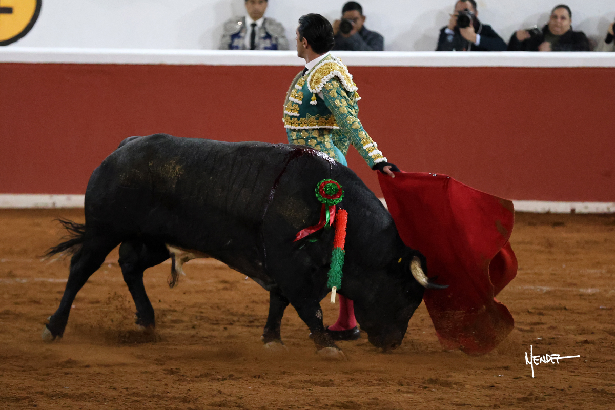 Torero con traje tradicional en la plaza de toros con un toro