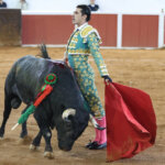 Un torero vestido de luces con un toro en la arena de la plaza de toros.