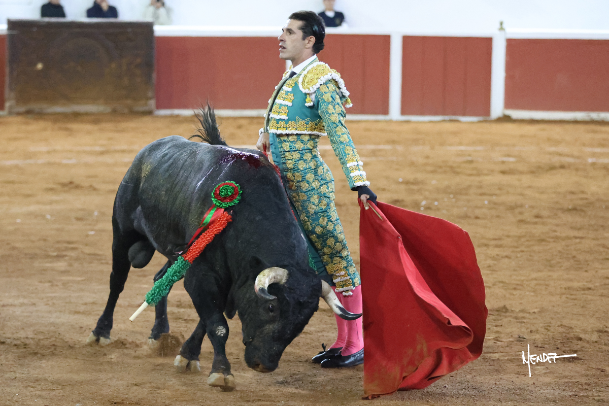 El emocionante indulto de Talavante a Mi Compa, en imágenes