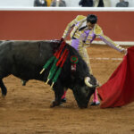 Un torero vestido de luces interactuando con un toro en la plaza de toros.