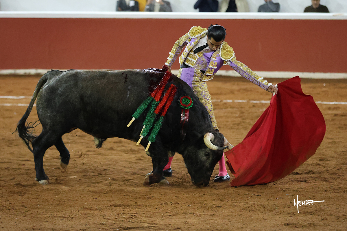 Un torero vestido de luces interactuando con un toro en la plaza de toros.