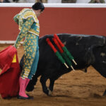 Torero vestido con traje de luces en la plaza de toros con un toro
