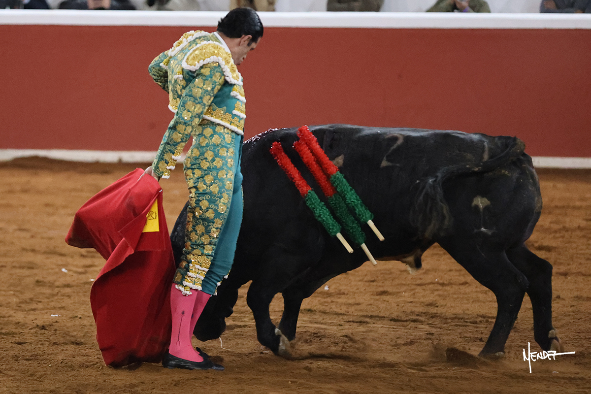 Torero vestido con traje de luces en la plaza de toros con un toro