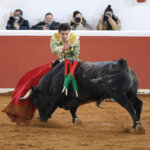 Torero vestido de luces lidiando un toro en la plaza de toros.