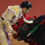Un torero vestido de luces se acerca a un toro en la plaza de toros.