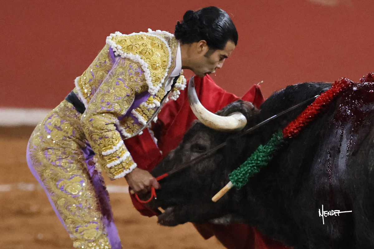 Un torero vestido de luces se acerca a un toro en la plaza de toros.