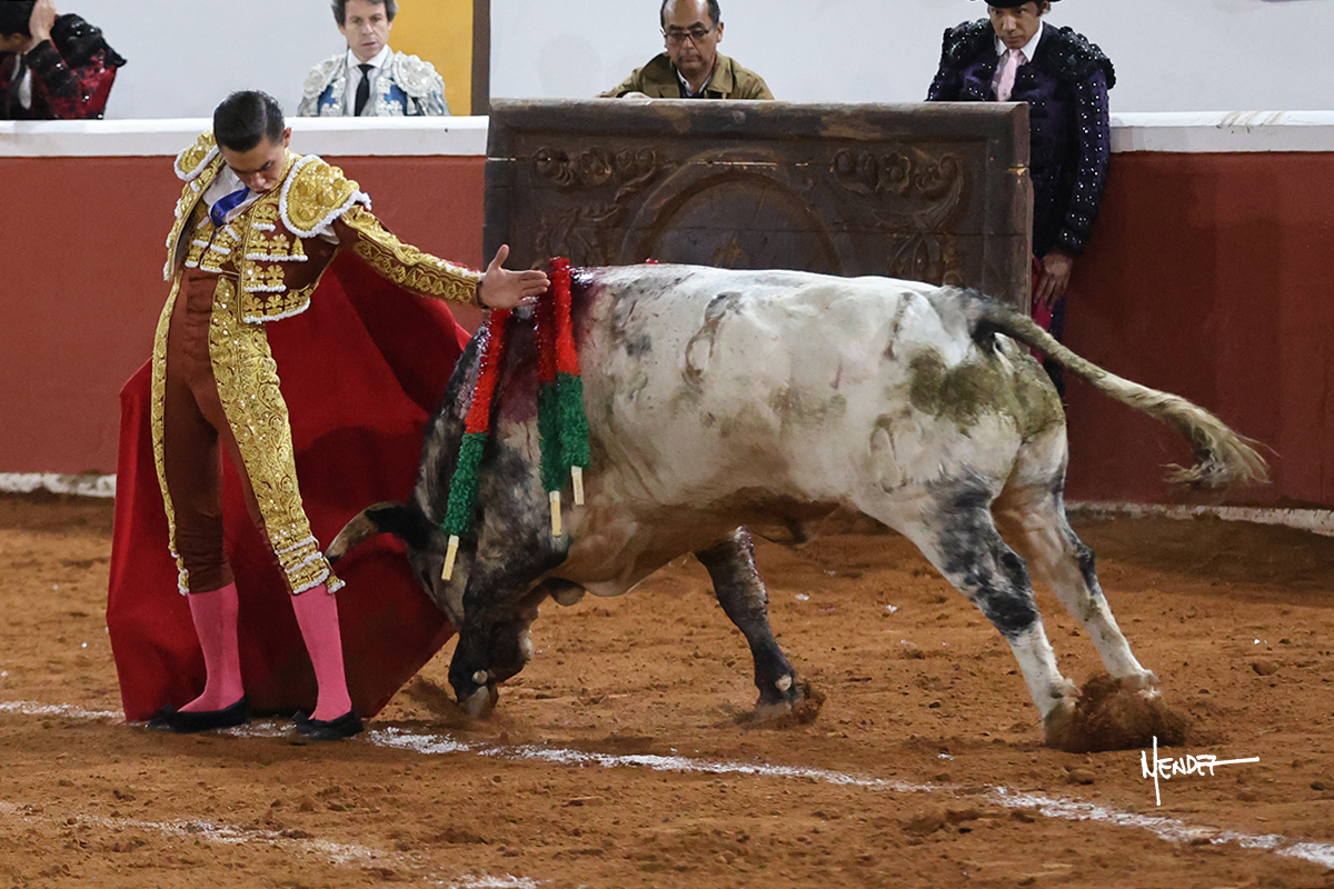 Un torero vestido de luces enfrentando a un toro en la plaza de toros.