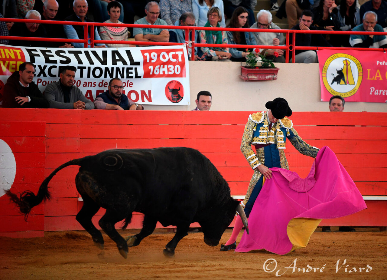 Ilusión, futuro y tres toreros de calidad en el cartel de Gamarde