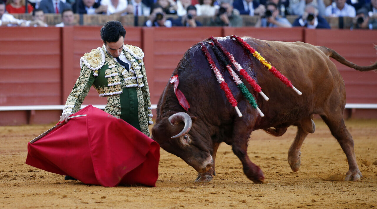 Tomás Rufo: "En 2026 se verá mi mejor versión, estoy abierto a nuevos retos"