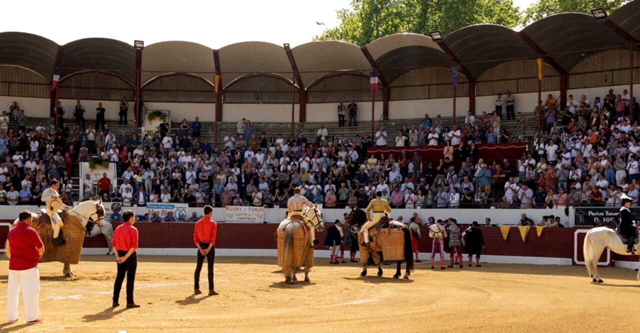 La ganadería de Raso de Portillo debuta en Aire sur l'Adour