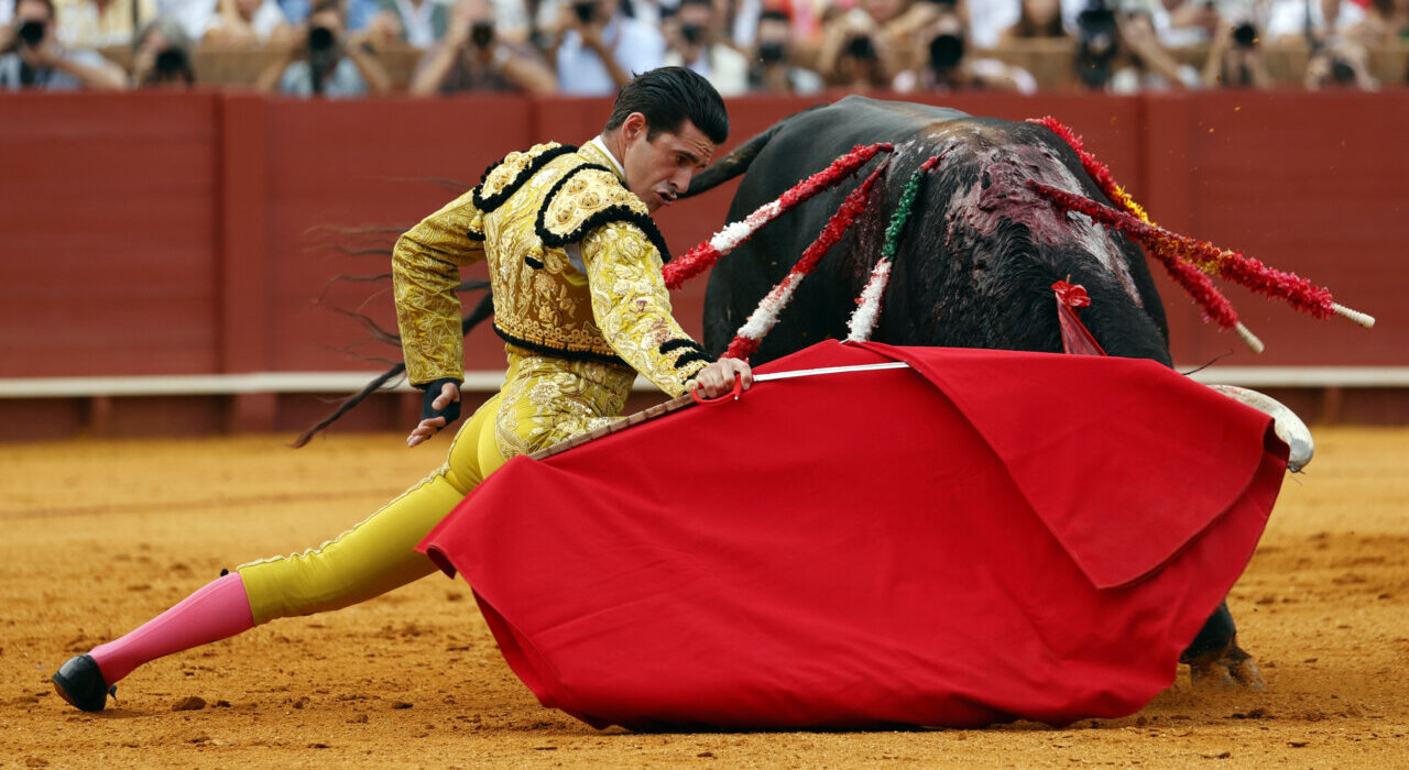 Talavante: “Siempre he querido que me cataloguen como un torero diferente”