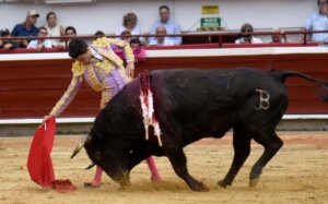 Foto: Rodrigo Urrego B.