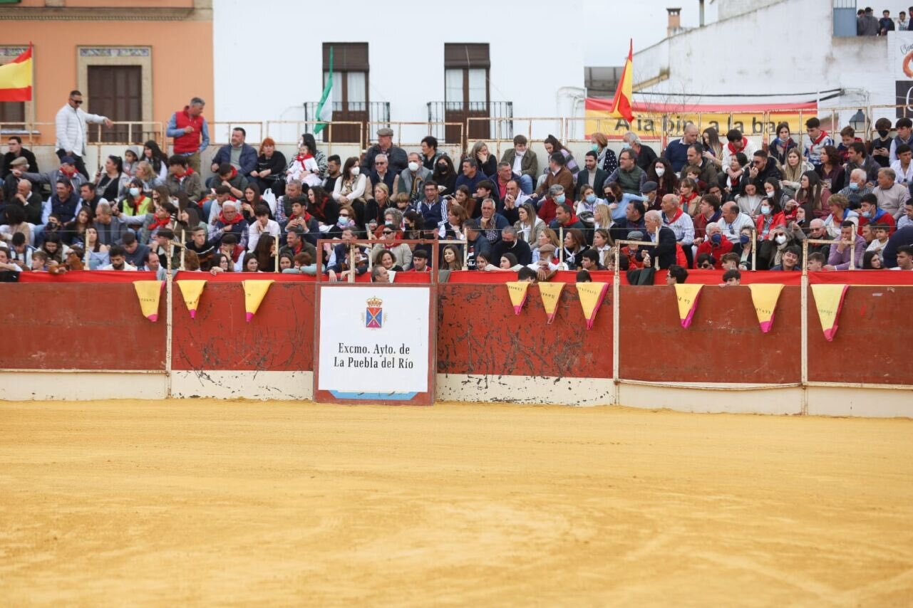 Julio Aparicio, Armando Rojo y Santiago Domecq se llevan de calle la primera novillada de La Puebla del Río