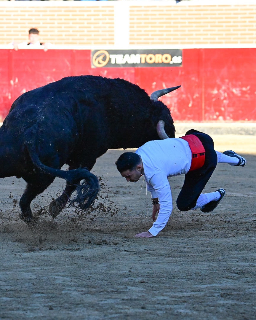 El recortador El Peta, herido de gravedad en arteria y vena femoral en Sanse