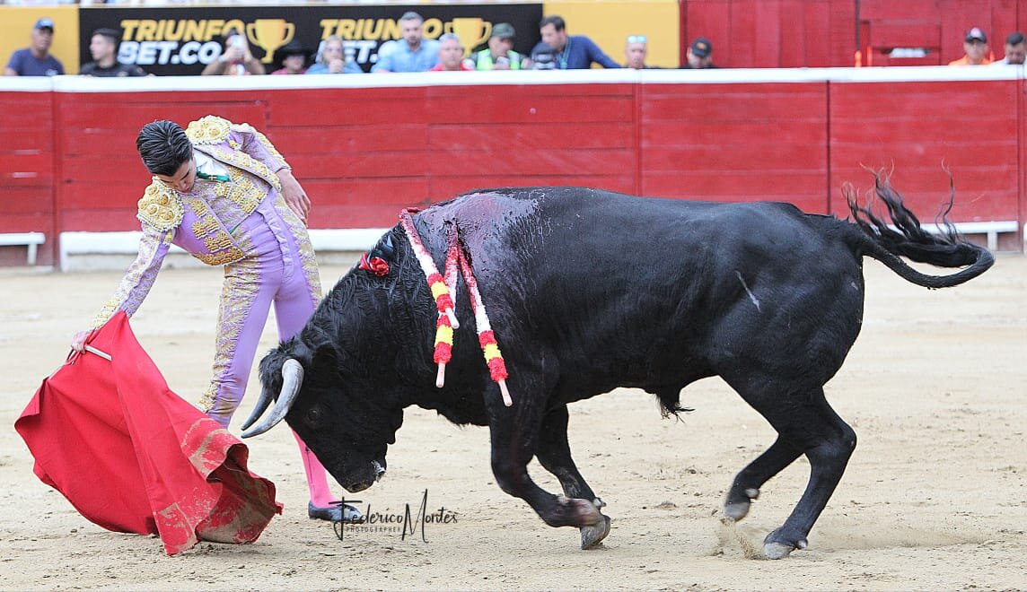 Marco Pérez indulta a Despechado en Mérida tras una faena de altos vuelos