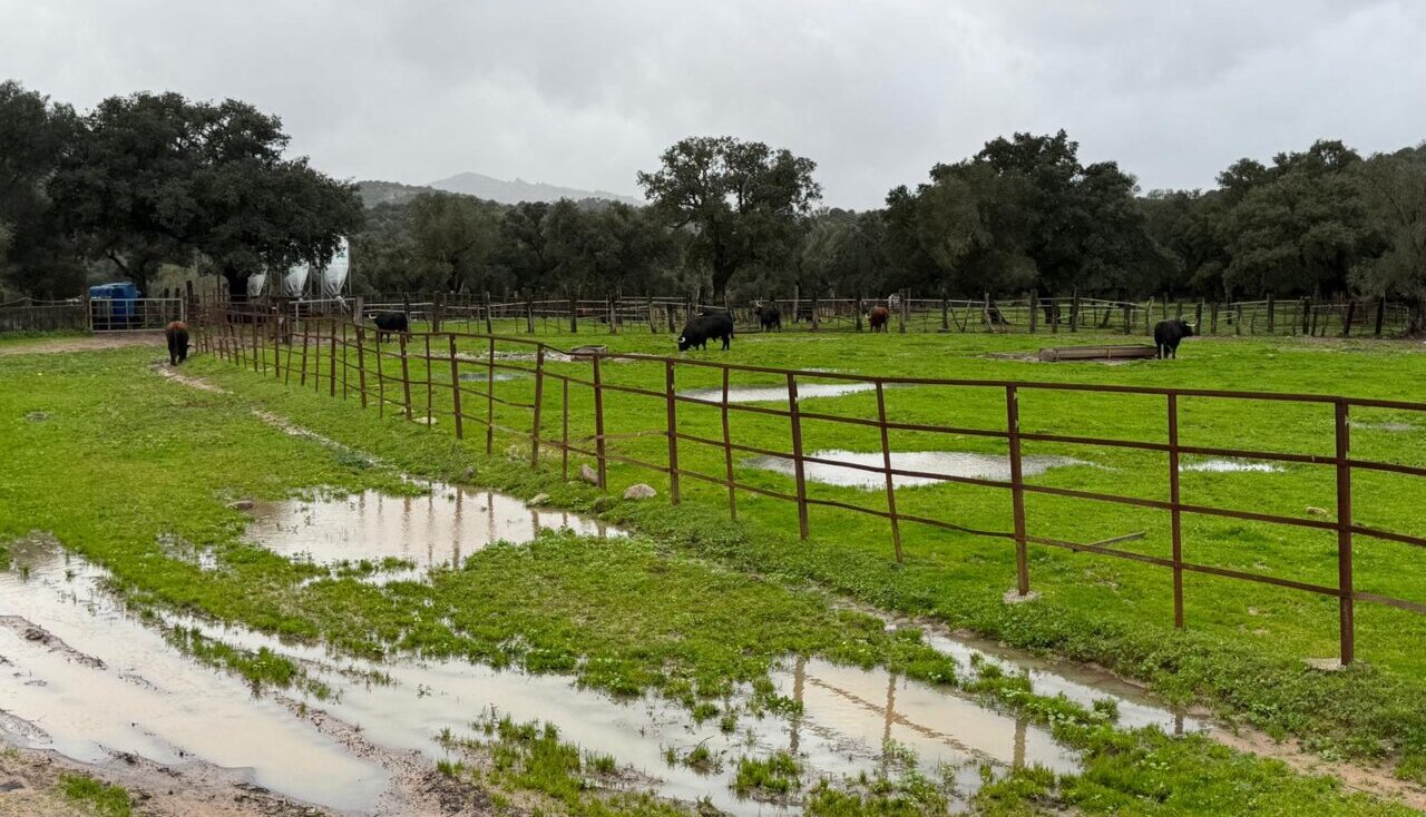 La Ruta del Toro se ahoga por las fuertes lluvias