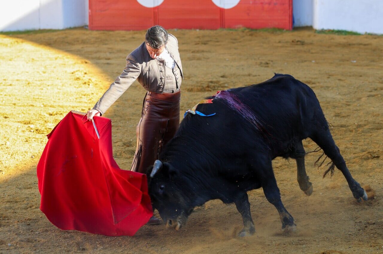 La torería de Diego Urdiales destaca en el festival de Mourao