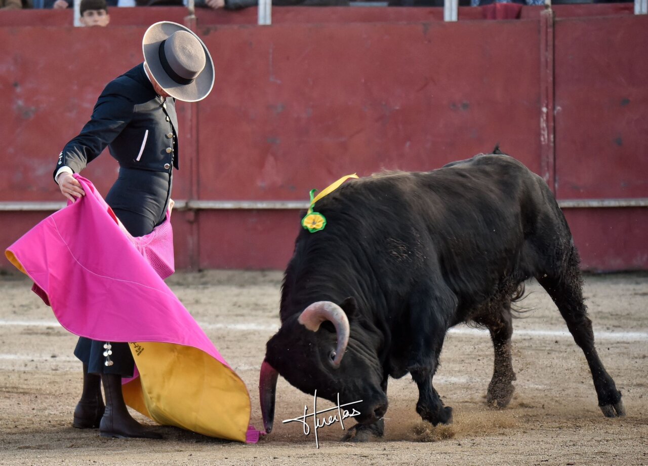 Daniel Luque, a la verónica