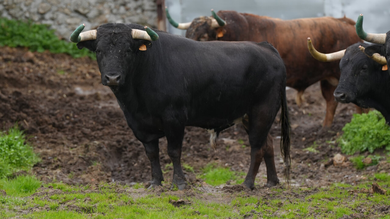 Ebanista, de Victoriano del Río, reseñado para la gesta solidaria de Lorenzo en Toledo