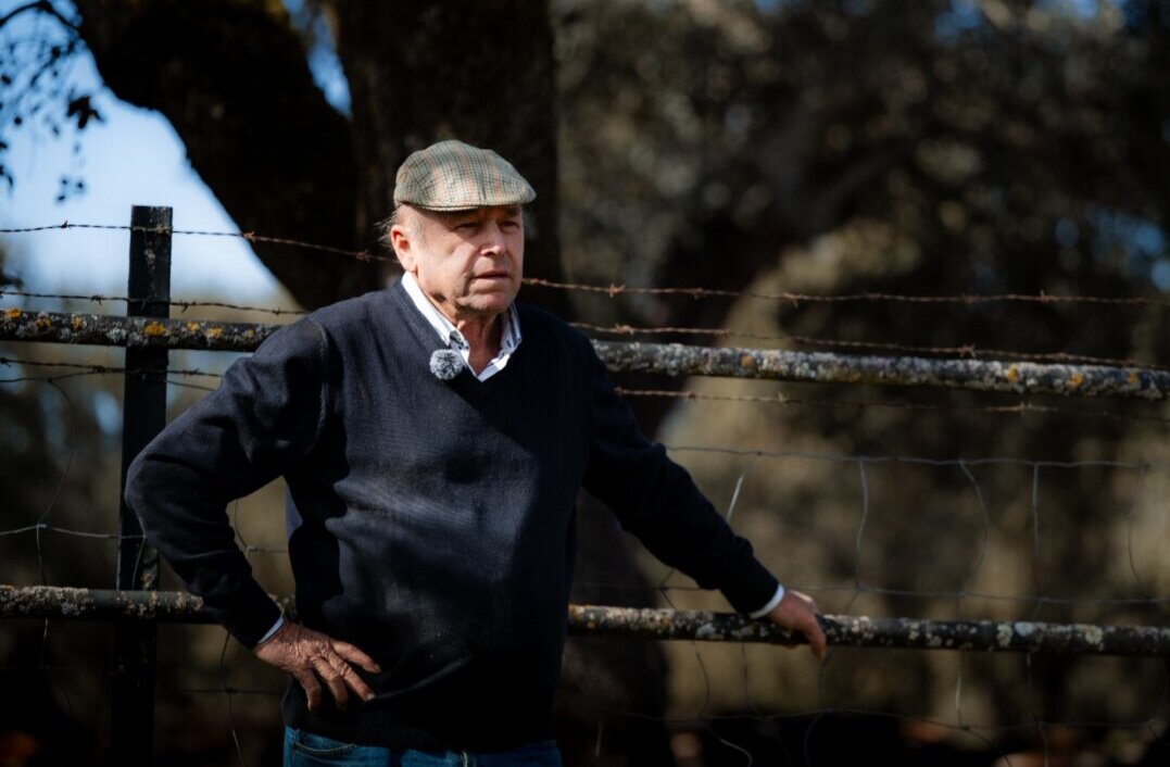 Fernando Pizarro, mayoral de Dolores Aguirre: "La corrida es perfecta para Madrid"