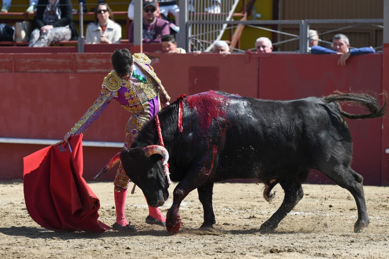 Rollón e Ibarra, oreja por coleta en la tercera del circuito en Estremera