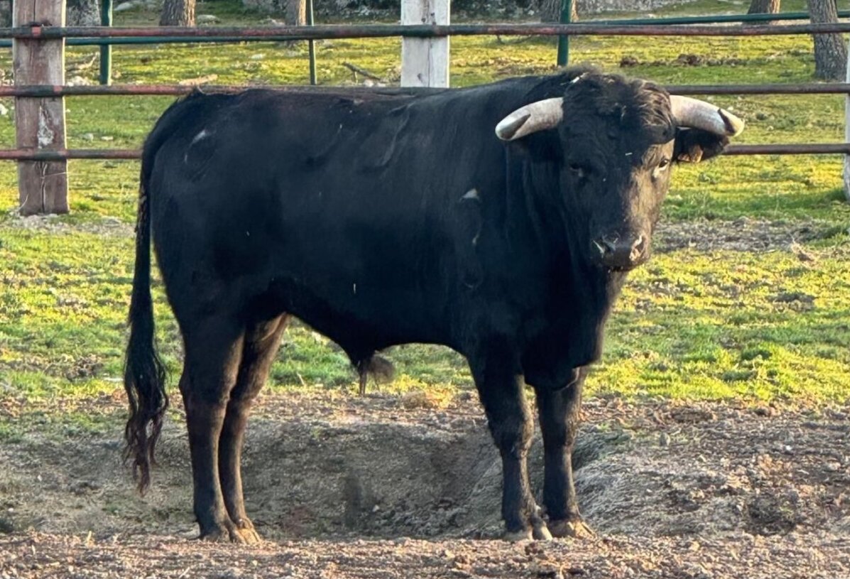 Flor de Jara y El Retamar levantan el telón del Circuito de Madrid