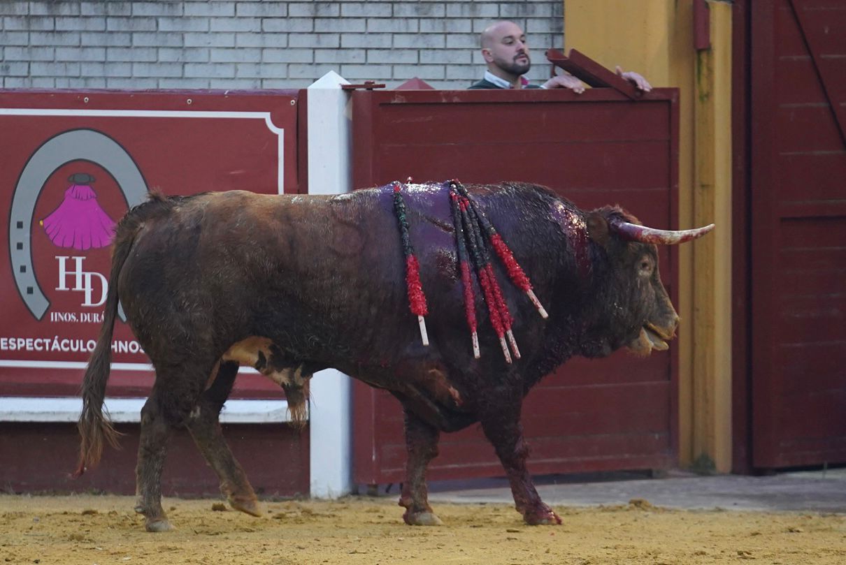 Indulto de El Fandi y lluvia de orejas para Ferrera y Escribano