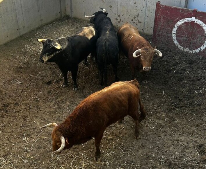 Impactado abrirá el cartelazo de la segunda del Milagro en Illescas