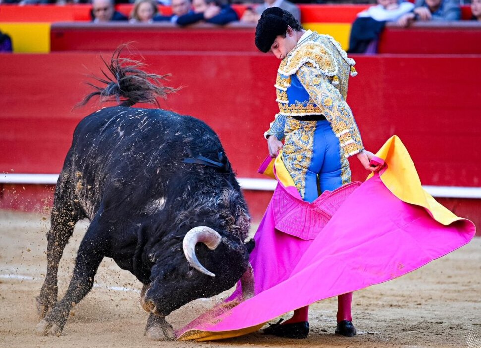 Los toros de Santiago Domecq, con divisa negra