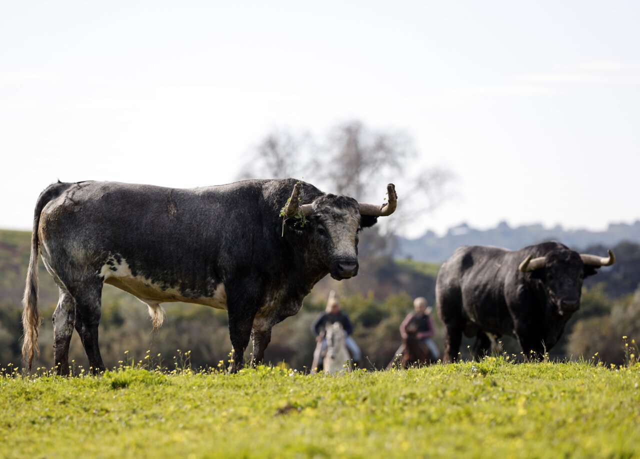 La Quinta: una apuesta por las emociones fuertes