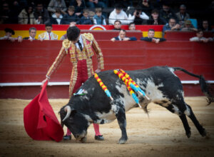 Polope alumno de la Escuela de Valencia. APLAUSOS