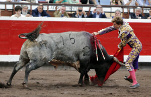 Román, con el enorme miura lidiado en Bilbao. Foto: Arjona.