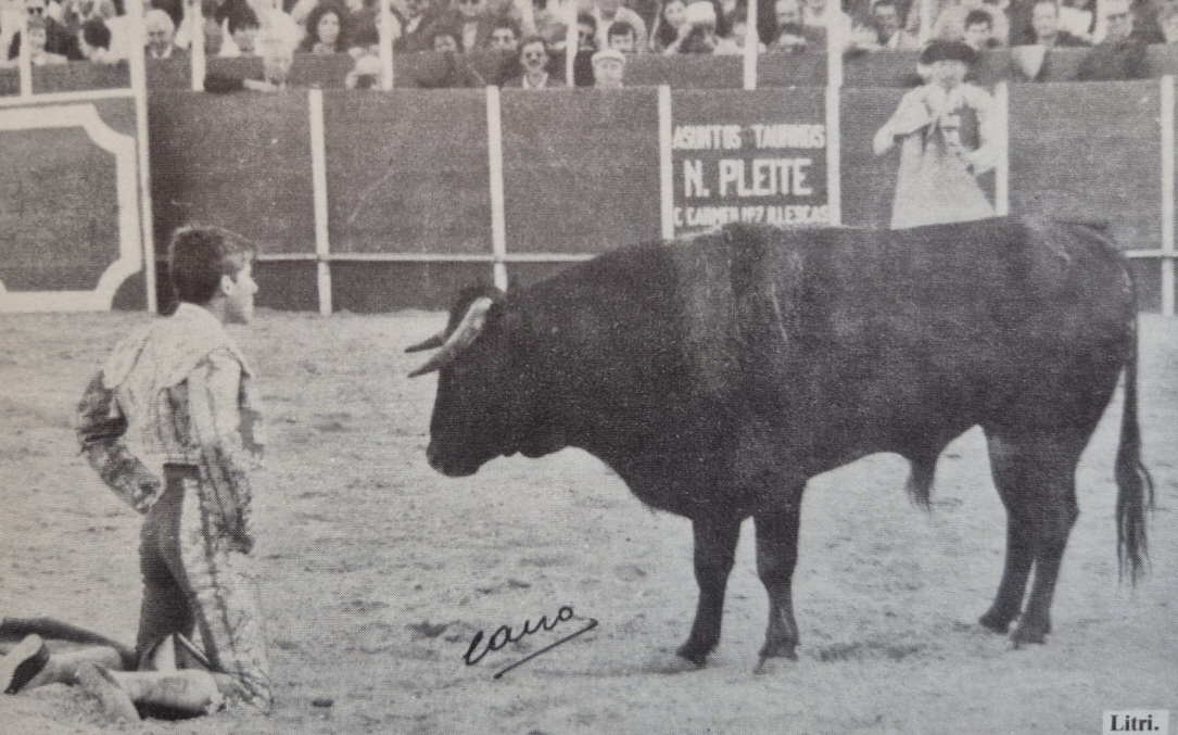 Los hijos de Litri y Camino debutan con picadores en Gandía
