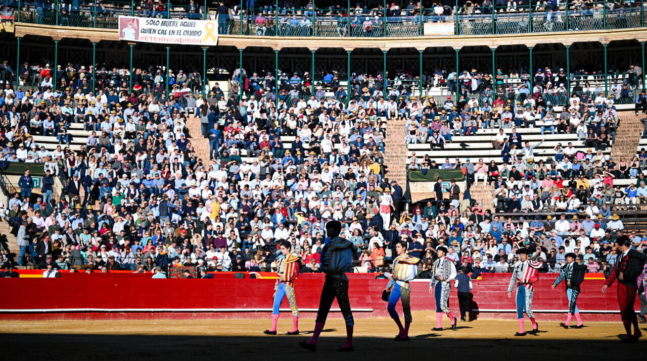 La Diputación programa en la plaza de Valencia diversas actividades complementarias a la Feria de Julio