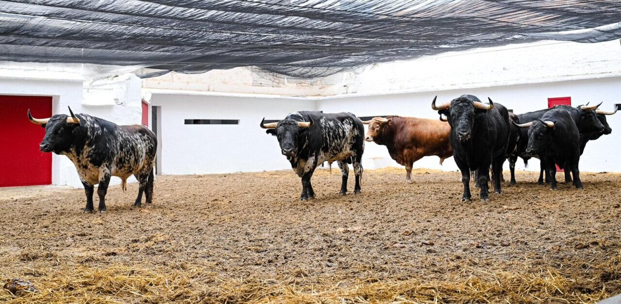 Navalón reaparecerá con Casero en una cita de No hay billetes en Fallas