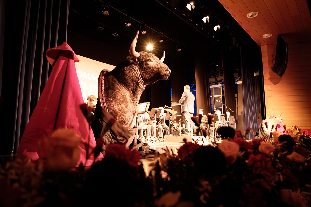 La tauromaquia se hizo arte en Villaseca en una noche de música, danza y emoción