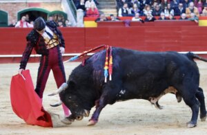 Foto: Antonio Vigueras