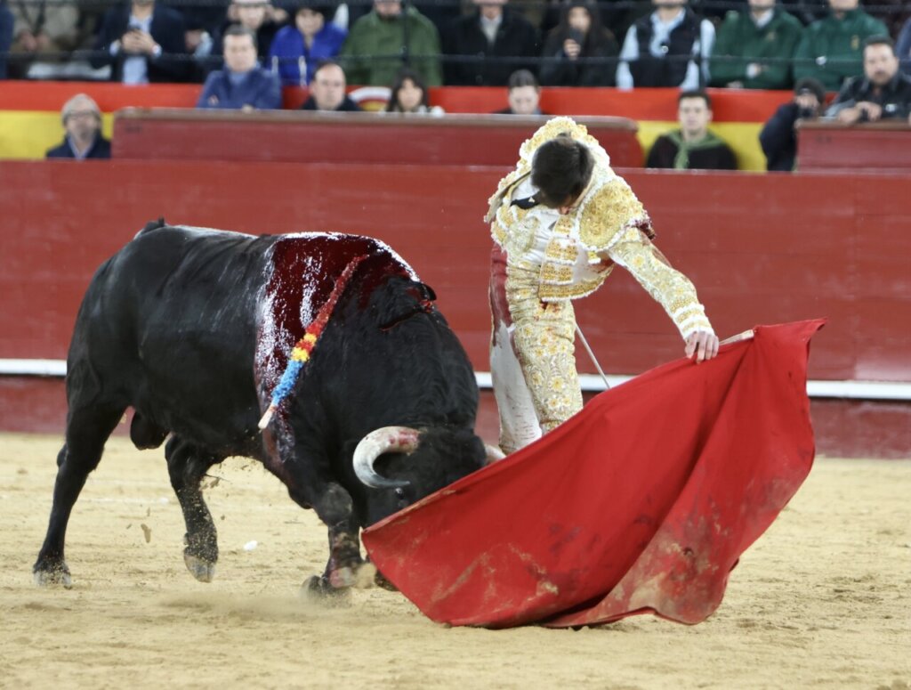 Samuel Navalón al natural el pasado 14 de marzo en Valencia. Foto: Vigueras