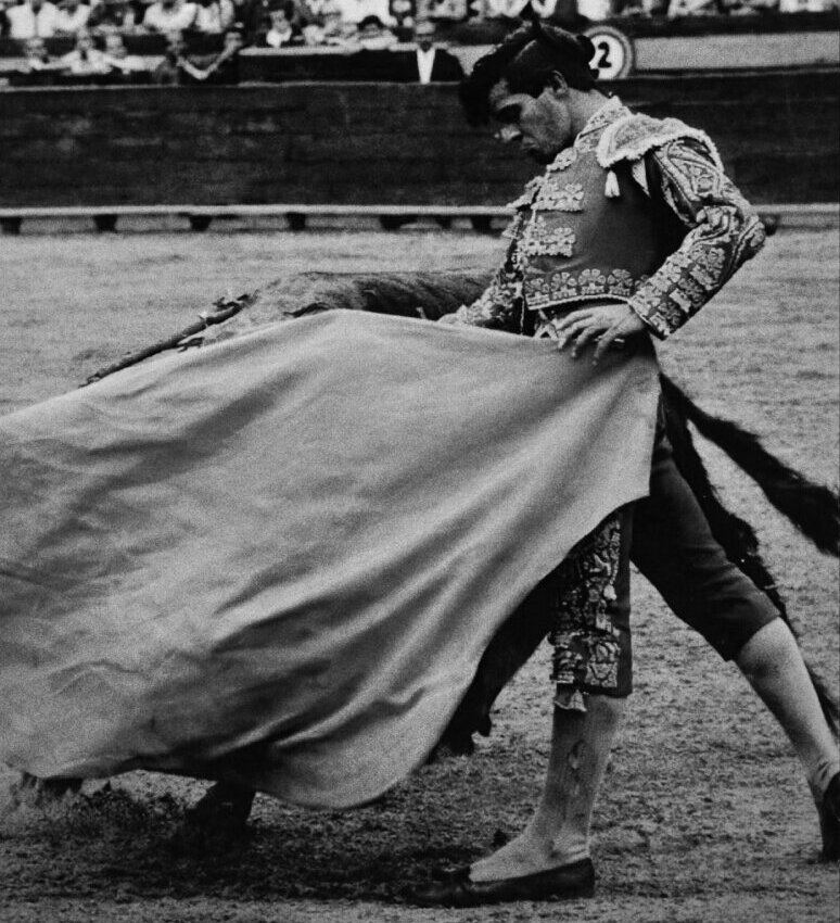 Sánchez Puerto, Frascuelo y Juan Antonio Esplá, tentadero homenaje a “El Inclusero” en Alicante