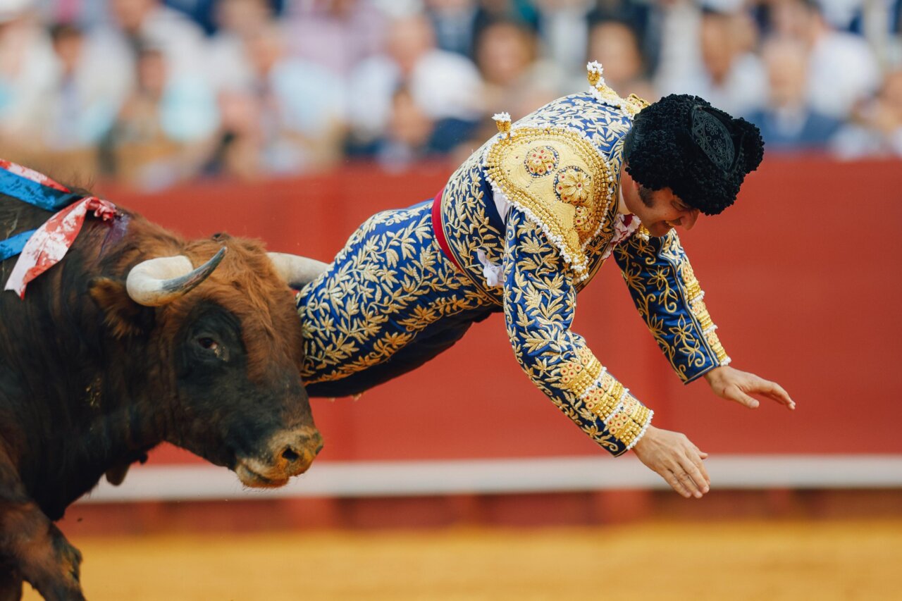 Morante, cornada muy grave en margen anal que lesiona musculatura esfinteriana y perfora la cara posterior del recto