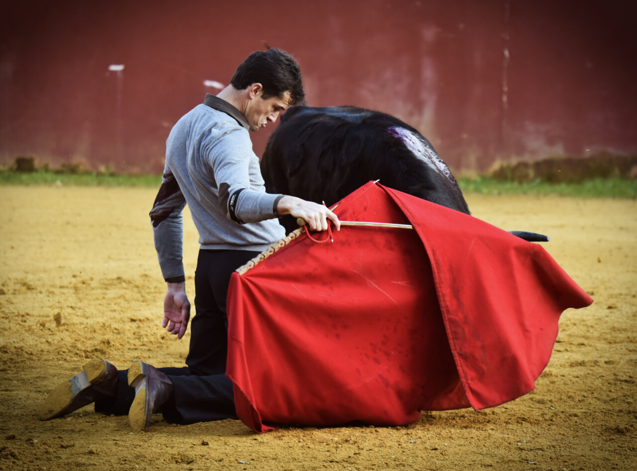 Daniel Luque: loco por torear