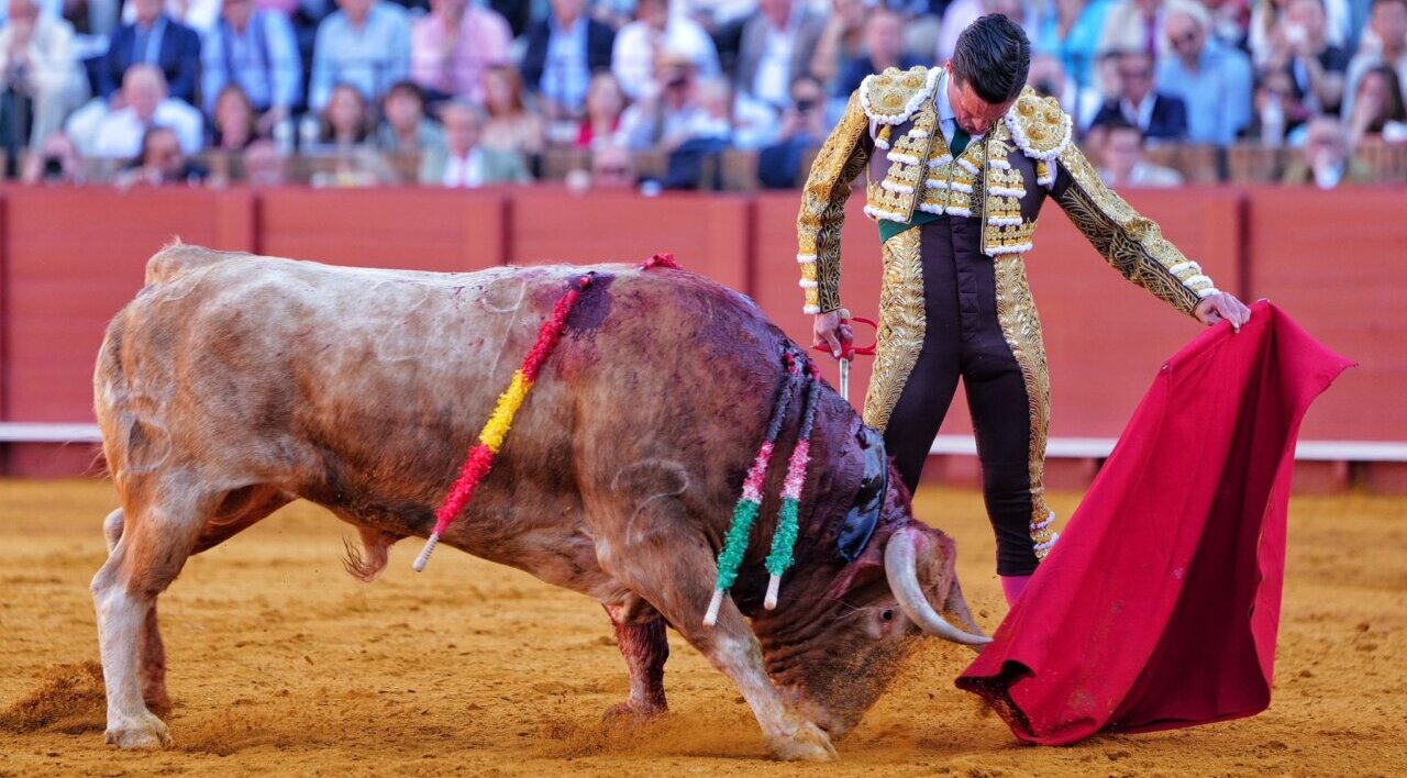 David Galván: "Ha sido una faena de sentir mucho la embestida en el embroque"